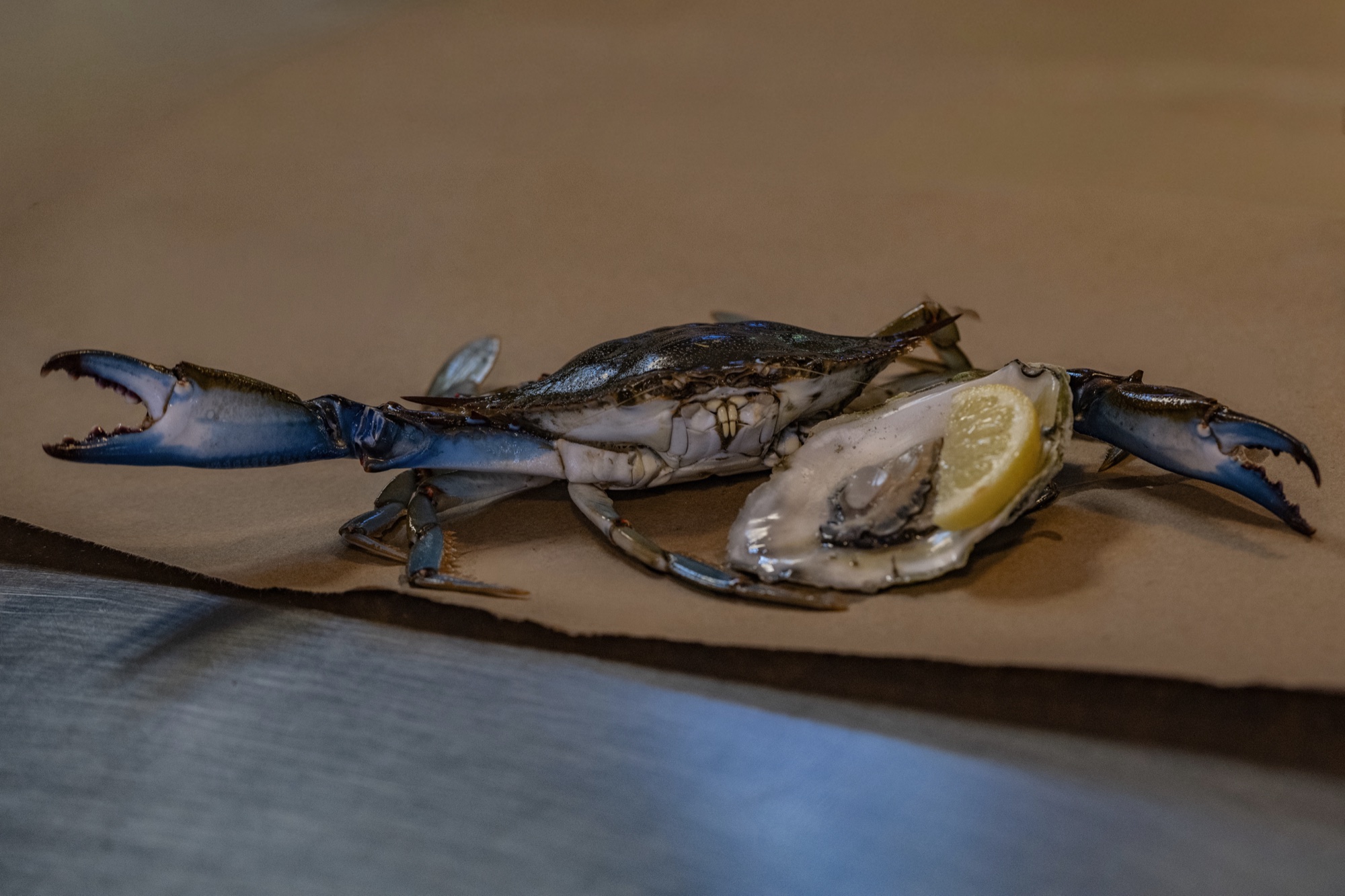 A live North Carolina blue crab beside a freshly opened oyster with lemon